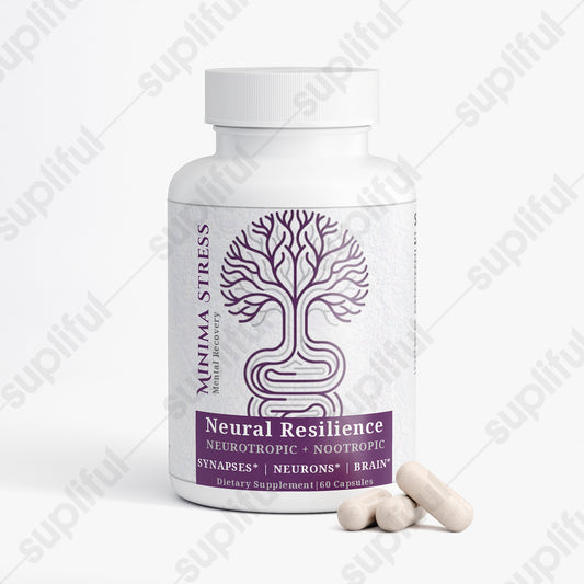 Neural Resilience