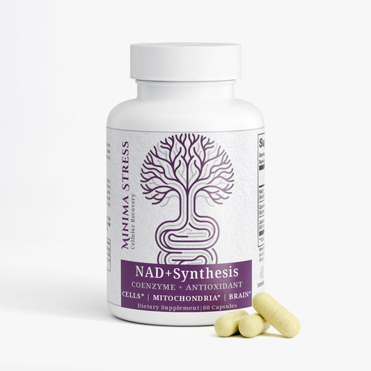 NAD+ Synthesis