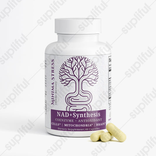 NAD+ Synthesis