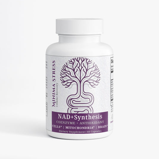 NAD+ Synthesis