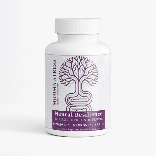 Neural Resilience