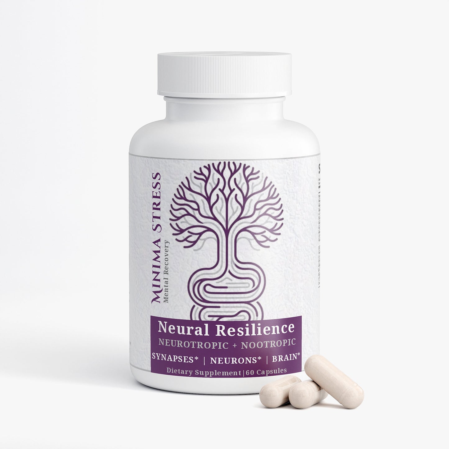 Neural Resilience