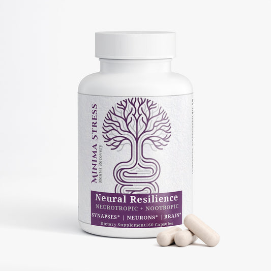 Neural Resilience