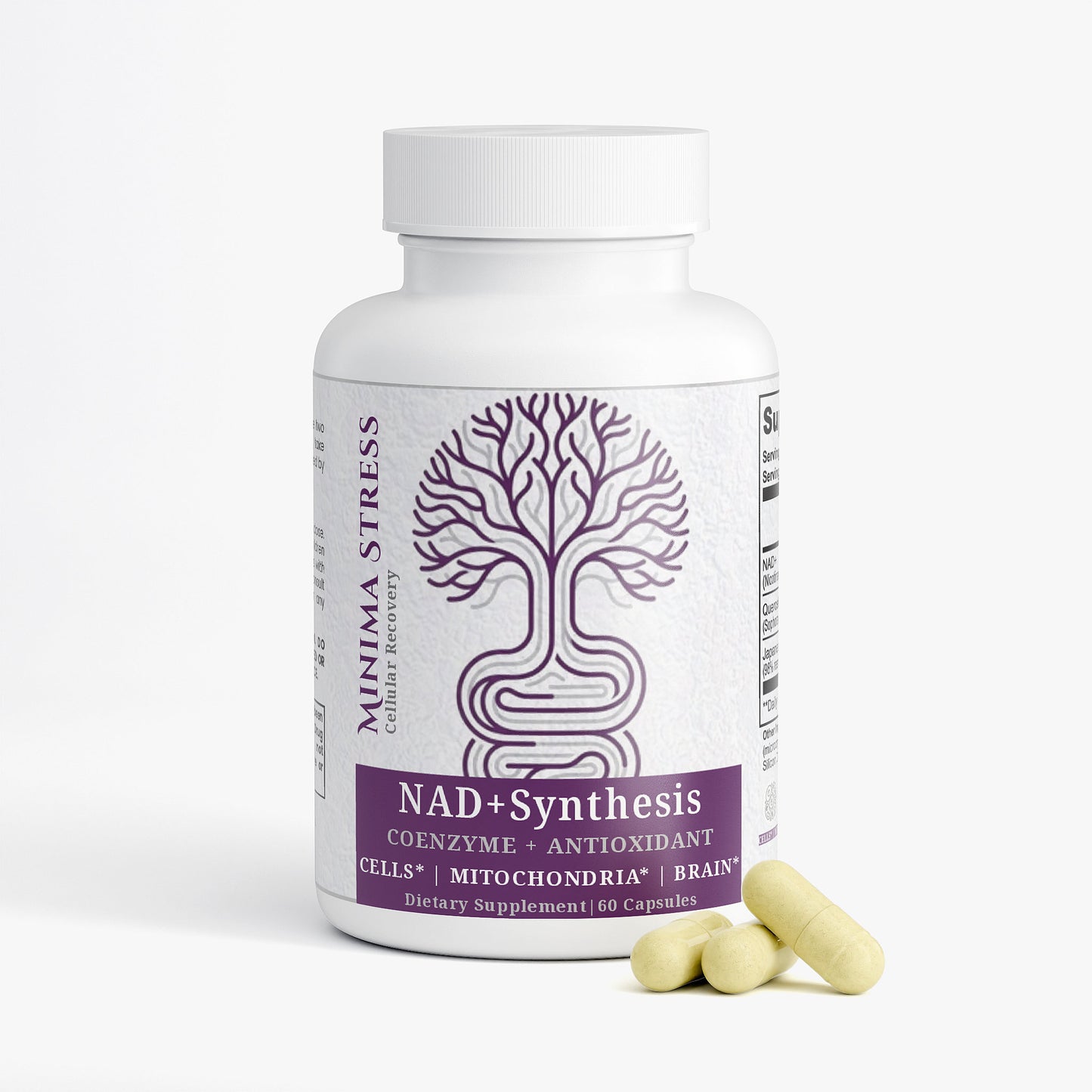 NAD+ Synthesis